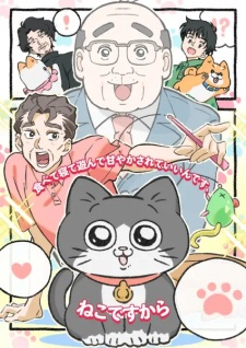 ねこに転生したおじさん ねこに転生したおじさん